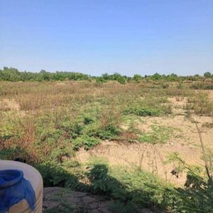 出售地皮-泰国-沙功那空-158164-平方米-1.63-01