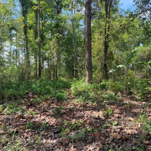 出售地皮-泰国-沙功那空-32216-平方米-5.38-01