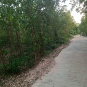 出售地皮-泰国-沙缴府-32800-平方米-0.15-01