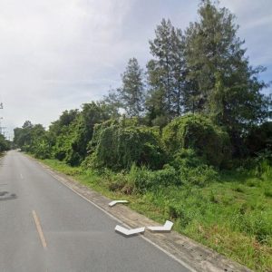 出售地皮-泰国-洛坤-13568-平方米-11.38-01