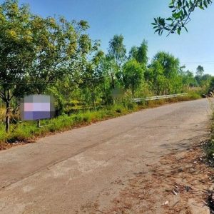 出售地皮-泰国-洛坤-16952-平方米-1.75-01