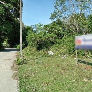 出售地皮-泰国-洛坤-464-平方米-83.52-01