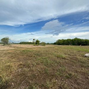 出售地皮-泰国-洛坤-46400-平方米-59.12-01