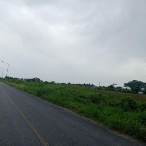 出售地皮-泰国-洛坤-66272-平方米-0-01