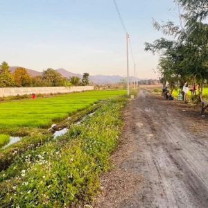 出售地皮-泰国-清迈-1004-平方米-49.55-01