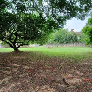 出售地皮-泰国-清迈-1024-平方米-277.92-01