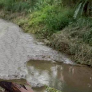 出售地皮-泰国-清迈-102476-平方米-0-01