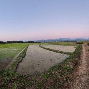 出售地皮-泰国-清迈-10561.2-平方米-5.66-01