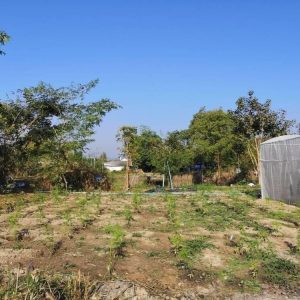 出售地皮-泰国-清迈-10572-平方米-80.78-01