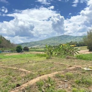 出售地皮-泰国-清迈-1076-平方米-43.03-01