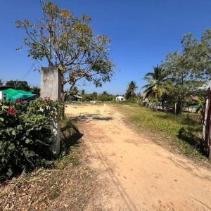 出售地皮-泰国-清迈-1084-平方米-0-01