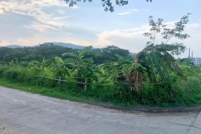 出售地皮-泰国-清迈-1096-平方米-610.03-01