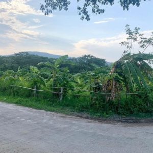 出售地皮-泰国-清迈-1096-平方米-610.03-01