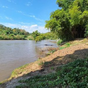 出售地皮-泰国-清迈-1108-平方米-0-01