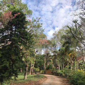 出售地皮-泰国-清迈-110800-平方米-4.66-01