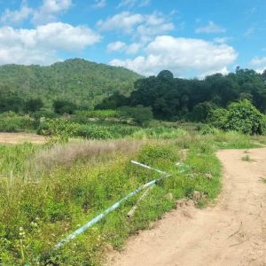 出售地皮-泰国-清迈-11200-平方米-0-01