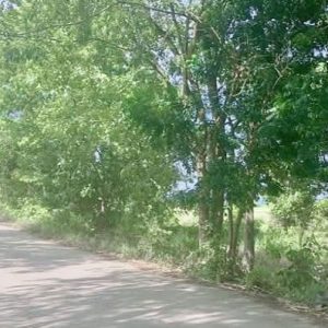 出售地皮-泰国-清迈-11200-平方米-51.75-01