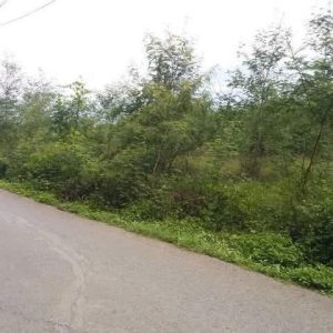 出售地皮-泰国-清迈-11200-平方米-56.66-01