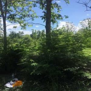 出售地皮-泰国-清迈-1156-平方米-72.86-01