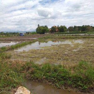 出售地皮-泰国-清迈-11576-平方米-40.72-01