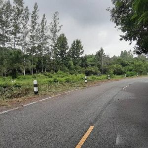 出售地皮-泰国-清迈-1164-平方米-21.8-01