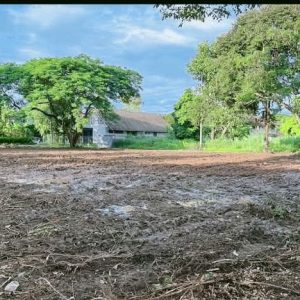 出售地皮-泰国-清迈-1188-平方米-0-01