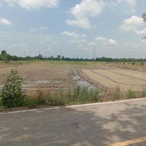 出售地皮-泰国-清迈-11960-平方米-34.43-01