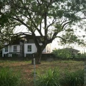 出售地皮-泰国-清迈-1200-平方米-0-01