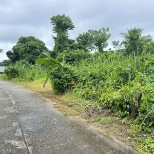 出售地皮-泰国-清迈-1200-平方米-112.86-01