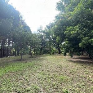 出售地皮-泰国-清迈-1200-平方米-214.29-01