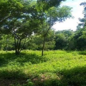 出售地皮-泰国-清迈-12000-平方米-32.15-01