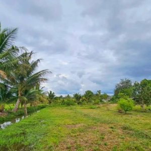 出售地皮-泰国-清迈-121812-平方米-1.03-01