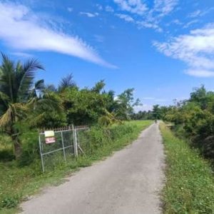 出售地皮-泰国-清迈-121812-平方米-1.06-01