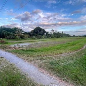 出售地皮-泰国-清迈-121972-平方米-1.29-01