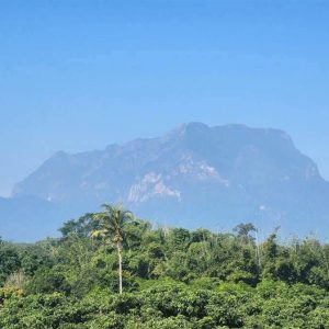 出售地皮-泰国-清迈-123200-平方米-0-01