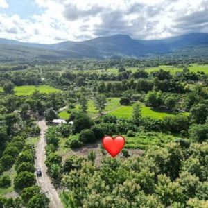 出售地皮-泰国-清迈-123200-平方米-0.66-01