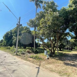 出售地皮-泰国-清迈-123296-平方米-24.78-01