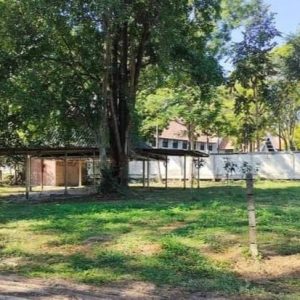 出售地皮-泰国-清迈-1248-平方米-0-01