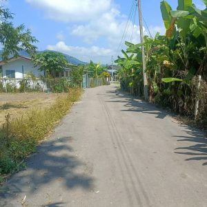 出售地皮-泰国-清迈-1280-平方米-52.26-01