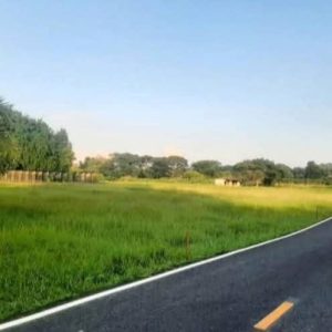 出售地皮-泰国-清迈-12800-平方米-0-01