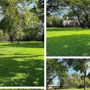 出售地皮-泰国-清迈-12800-平方米-1580.38-01