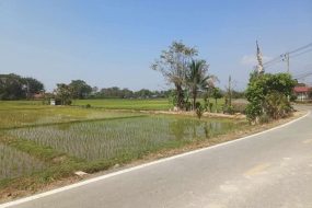 出售地皮-泰国-清迈-128076-平方米-4.03-01