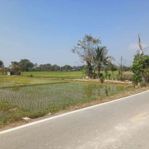 出售地皮-泰国-清迈-128076-平方米-4.03-01