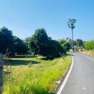 出售地皮-泰国-清迈-1292-平方米-183.12-01