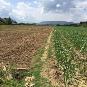 出售地皮-泰国-清迈-13136-平方米-18.03-01