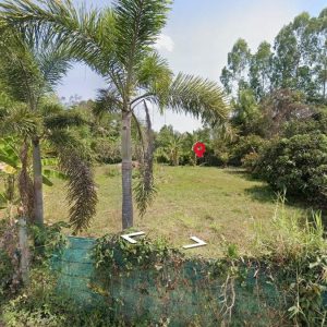 出售地皮-泰国-清迈-13376-平方米-60.78-01