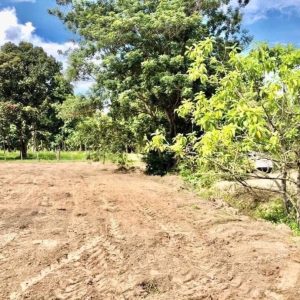 出售地皮-泰国-清迈-134460-平方米-2.03-01