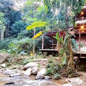 出售地皮-泰国-清迈-1348-平方米-241.63-01