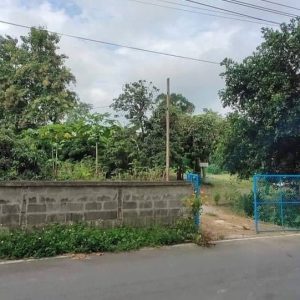 出售地皮-泰国-清迈-1364-平方米-188.55-01