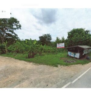 出售地皮-泰国-清迈-13776-平方米-81.43-01